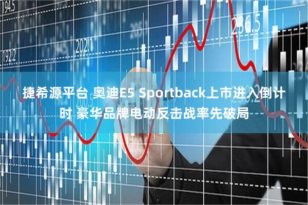 捷希源平台 奥迪E5 Sportback上市进入倒计时 豪华品牌电动反击战率先破局
