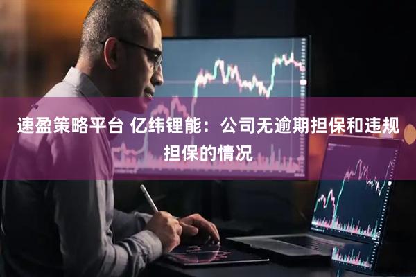 速盈策略平台 亿纬锂能：公司无逾期担保和违规担保的情况