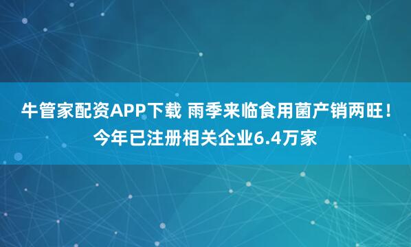 牛管家配资APP下载 雨季来临食用菌产销两旺！今年已注册相关企业6.4万家