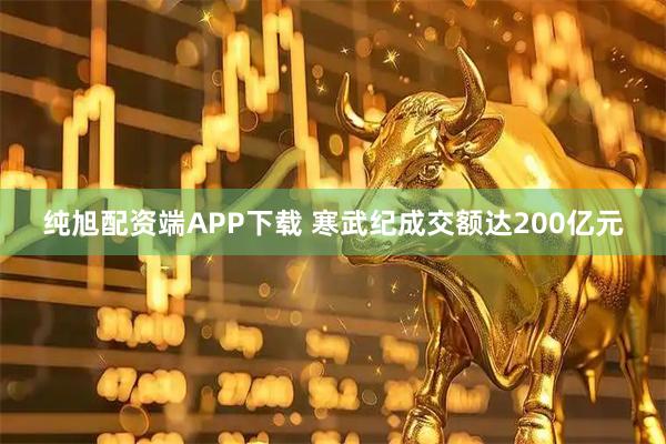 纯旭配资端APP下载 寒武纪成交额达200亿元